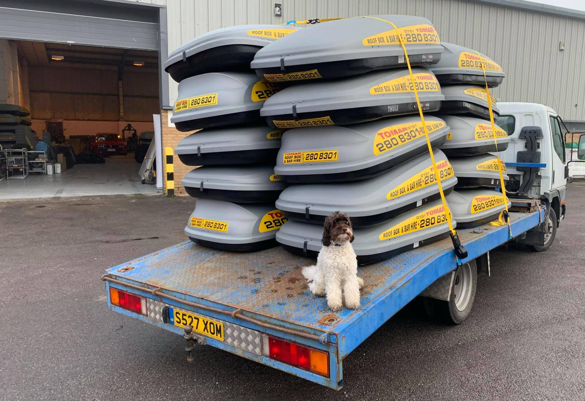 Wagon loaded full of roofboxes with a dog on the back
